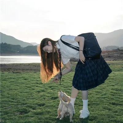 欲海女王蜂
